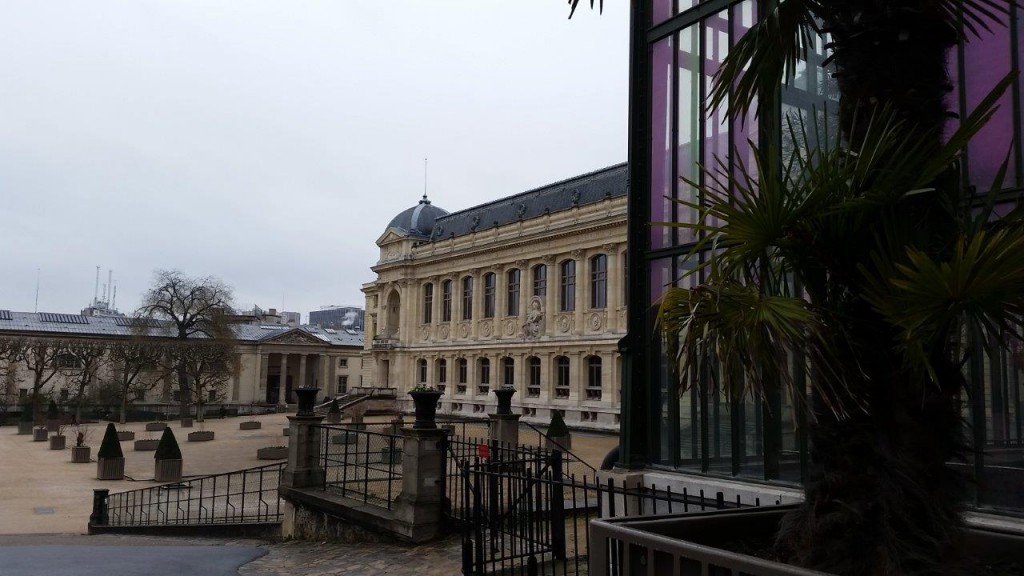 Muséum d'histoire naturelle