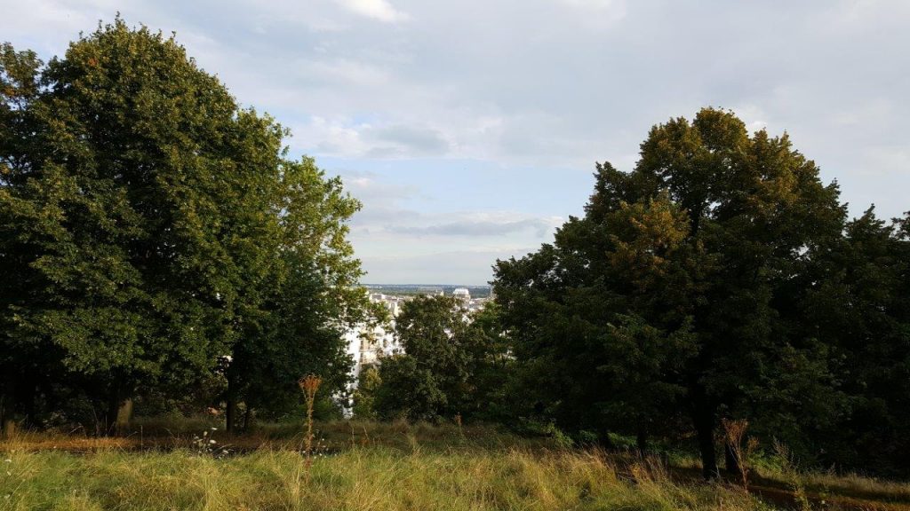 parc départemental de Jean Moulin Les Guillands